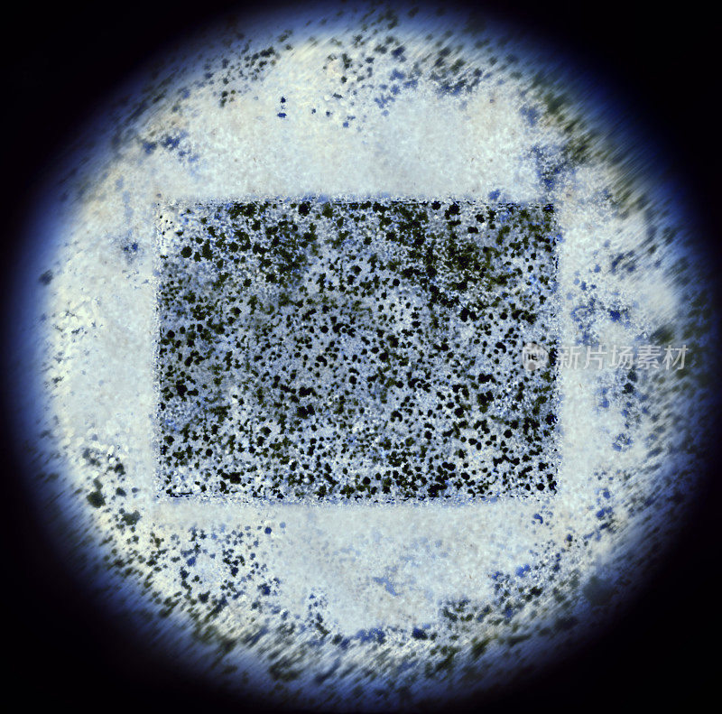 通过显微镜观察科罗拉多形细菌。(系列)
