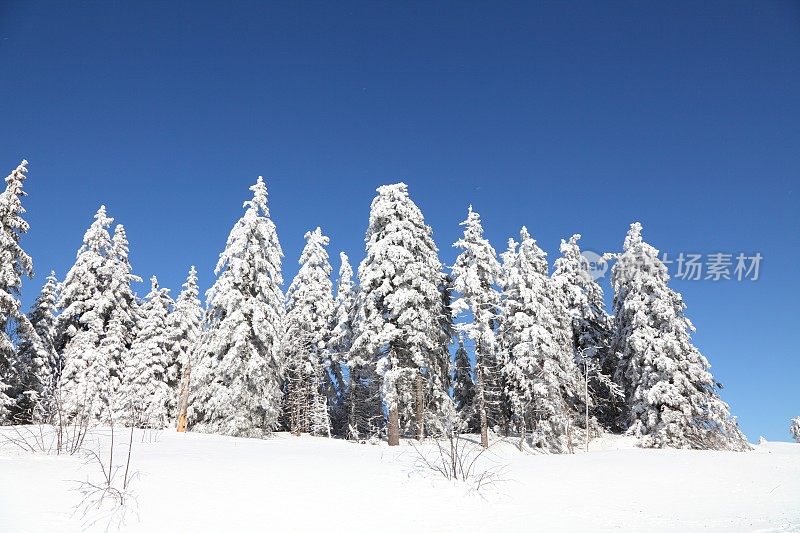 冬天的风景与雪在黑森林