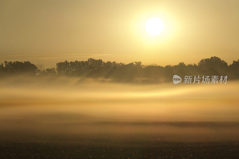 超现实的日出在雾气腾腾的乡村景观。