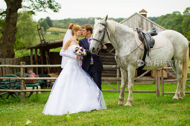 新婚夫妇在农场附近放牧的马
