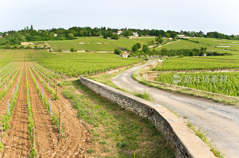 勃艮第的乡村公路