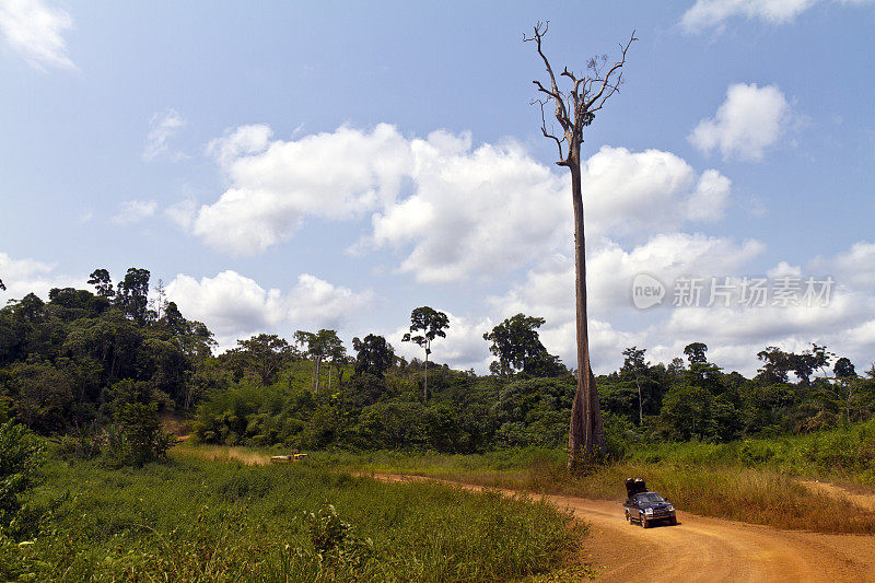 加蓬、Ngouni吗?穆伊拉省，高速公路穿过森林。