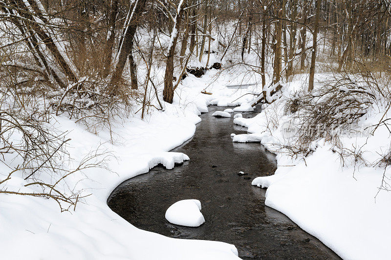 冬雪溪流穿过树林，自然背景