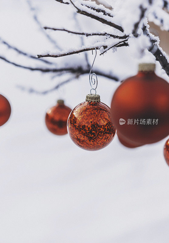 鲜红的圣诞装饰物挂在外面白雪覆盖的树上