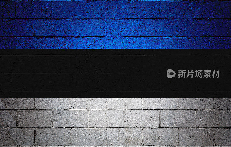一面画在墙上的爱沙尼亚国旗