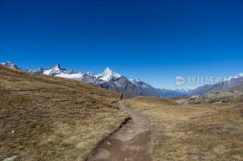 在瑞士阿尔卑斯山徒步旅行