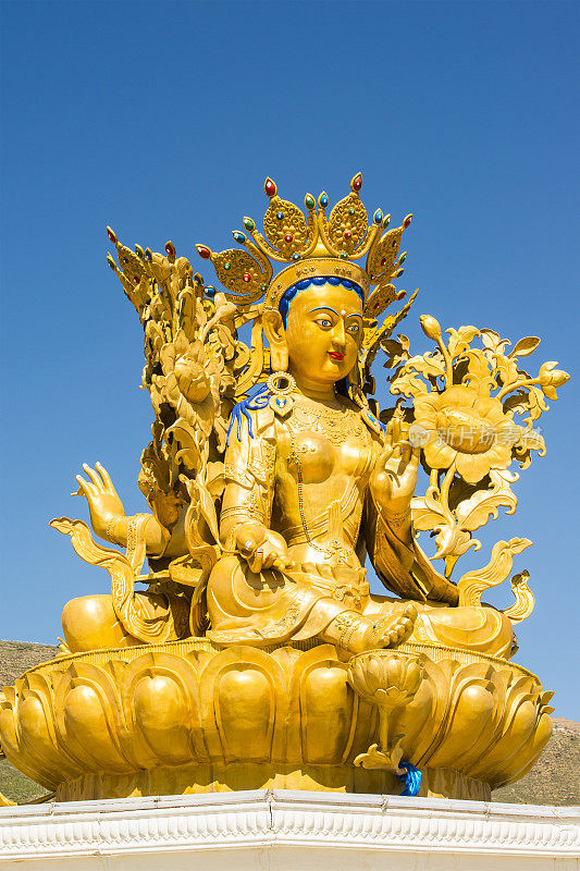 金佛，朗木寺，东tibet