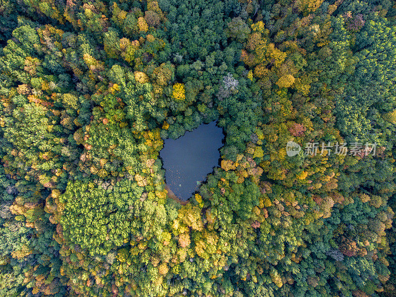 鸟瞰图。俄罗斯的森林湖。