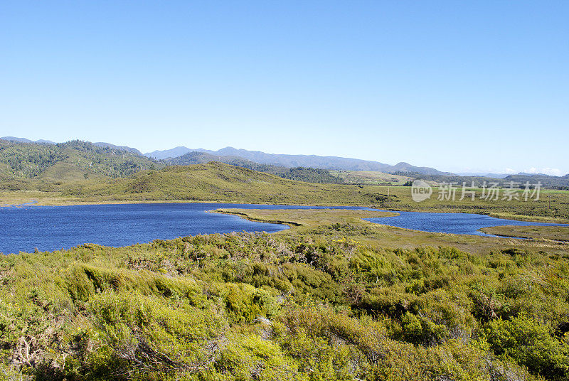 猎物沼泽，金湾，NZ