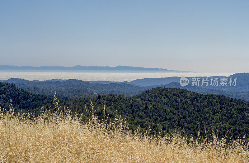 加州洛斯加托斯附近山区的蒙特利湾