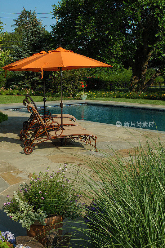 游泳池和花园伞