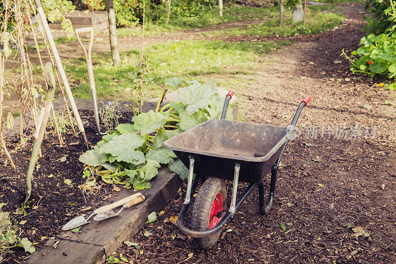 伦敦社区花园的独轮车