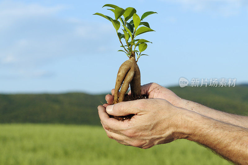 新生活掌握在手中