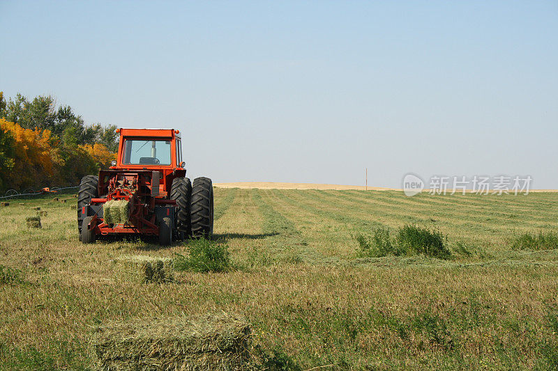 拖拉机坐在秋季的田地里收割小捆庄稼