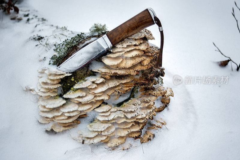 雪地里的猎刀和蘑菇