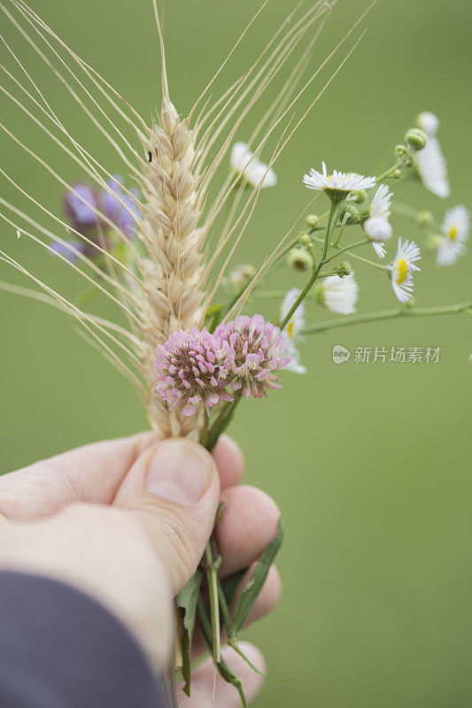 手捧花捧麦穗