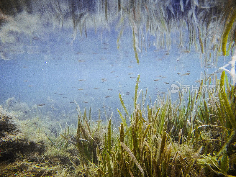 水下