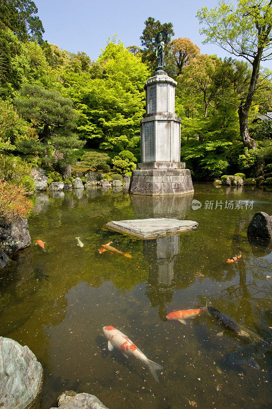 日本花园中的池塘