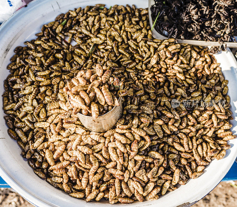 柬埔寨暹粒街头市场出售油炸昆虫