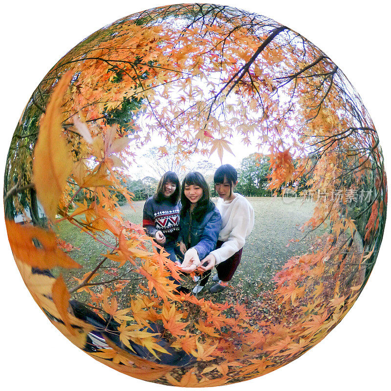 360度的年轻女孩在秋天的树叶