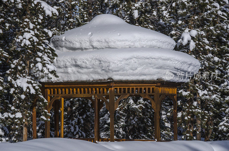 白雪覆盖的凉亭在松树