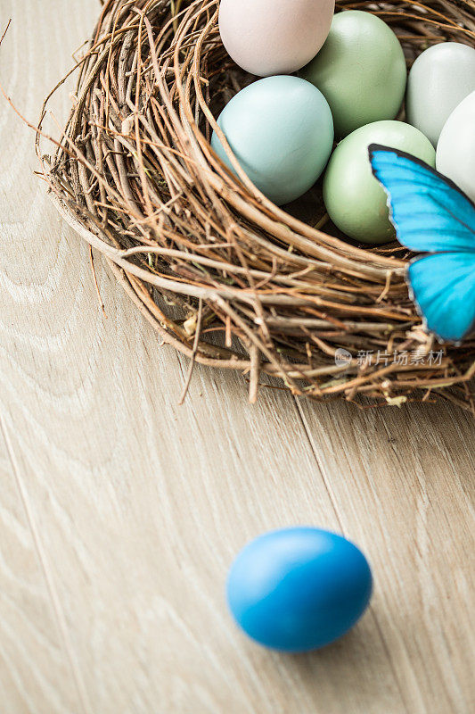 蓝色的复活节蛋和蛋窝
