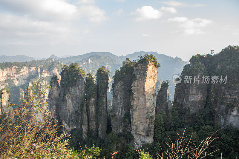 砂岩柱，张家界国家森林公园，中国