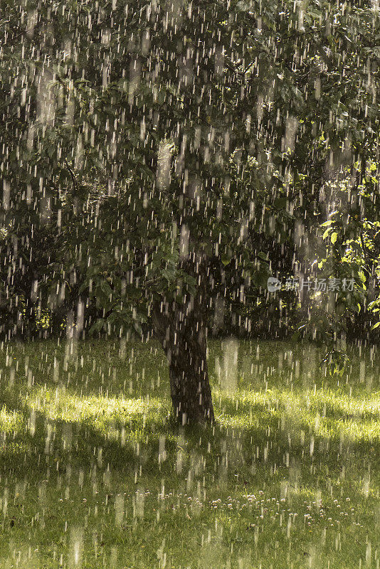 大雨