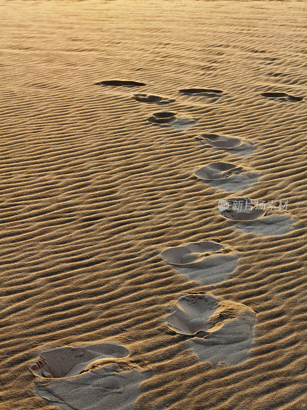 皮拉沙丘-沙滩上的脚印