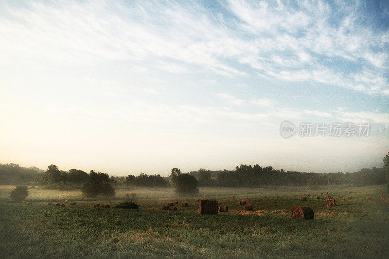 雾蒙蒙的早晨，农田里的干草