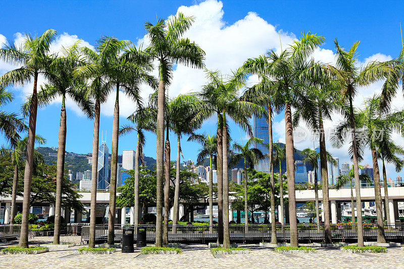 九龙、香港天际线