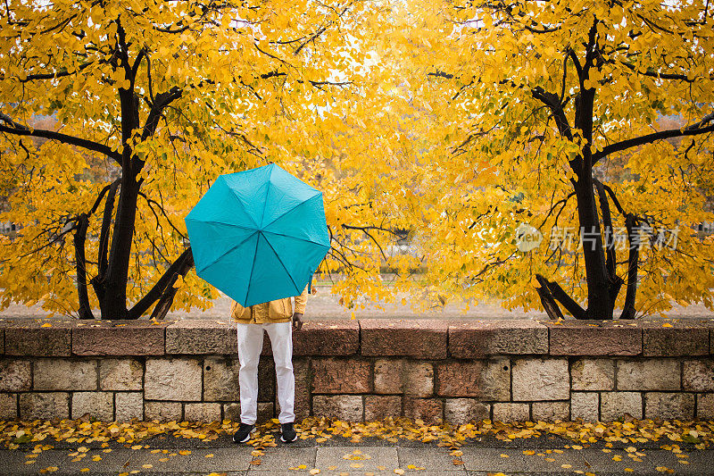 雨走了