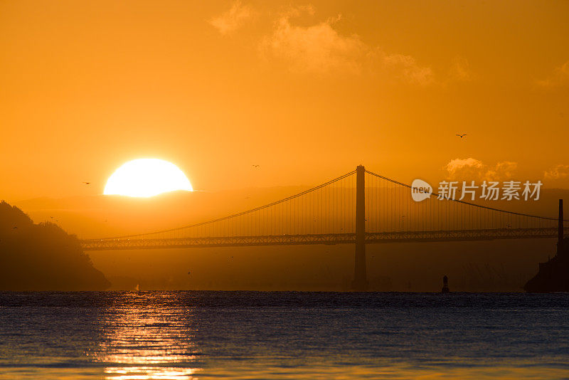 奥克兰海湾大桥上的日出