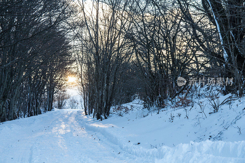 通往阳光的雪路