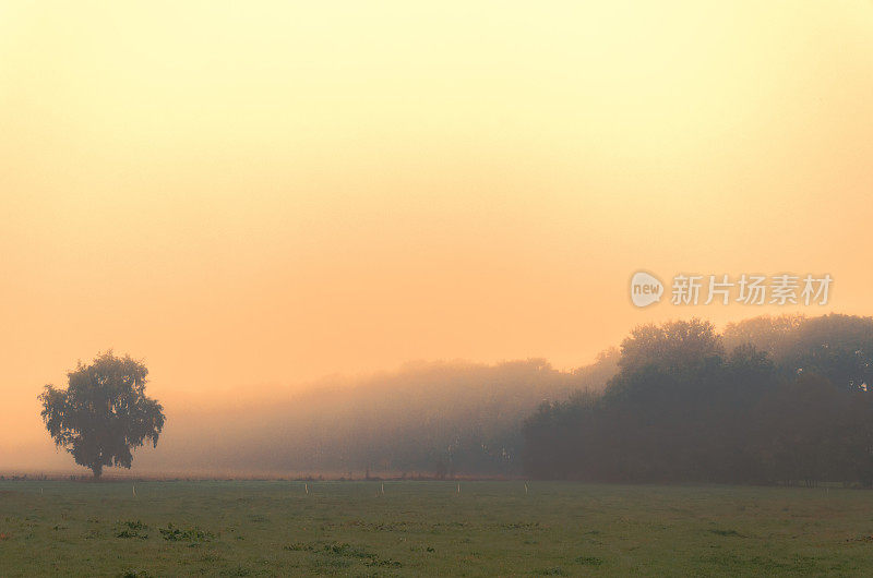 橙色的晨光在日出-乡村景观在雾