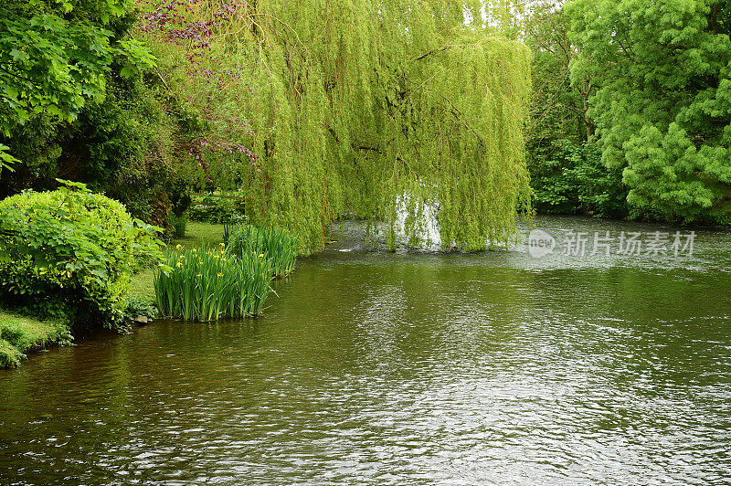 英国的风景