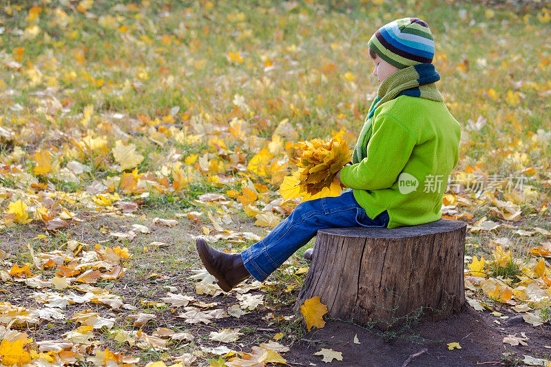 男孩坐在树桩上的秋天公园