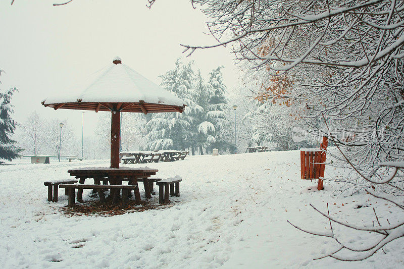 贝尔格莱德冬天的雪景