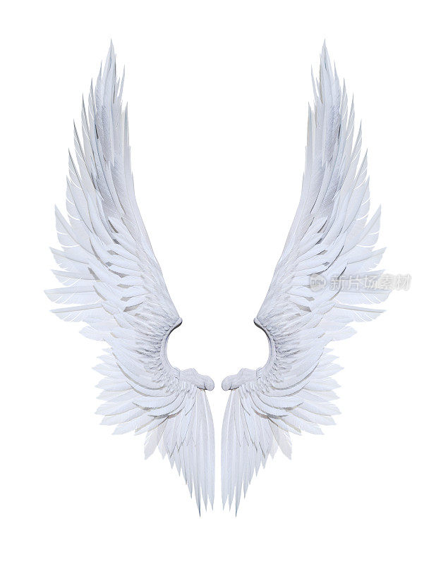 天使翅膀，白色翅膀羽毛孤立在白色背景