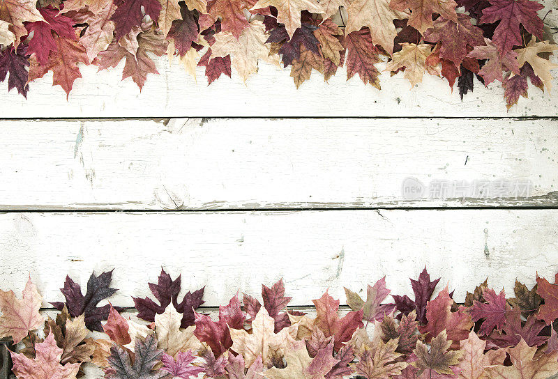 秋天秋天的枫叶边界上老白木背景