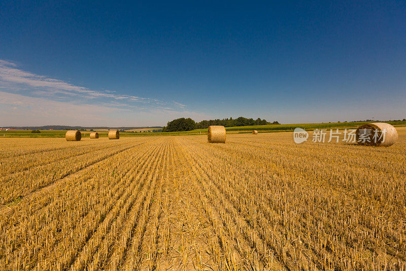 稻草包夏天的田野