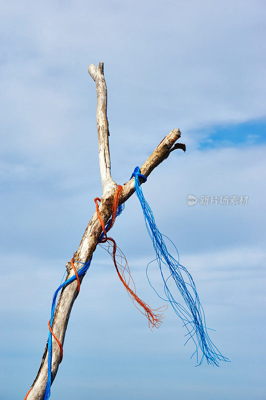 树枝上有彩色塑料绳在风中摇摆