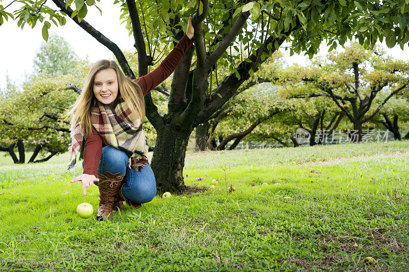 美国印第安纳州中西部秋收季节，一名少女坐在苹果园里扔苹果