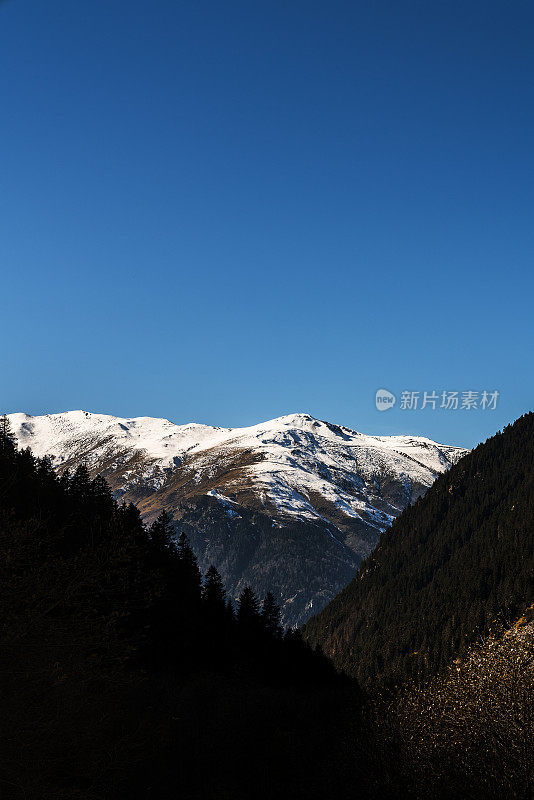 雪山后面的森林和小山