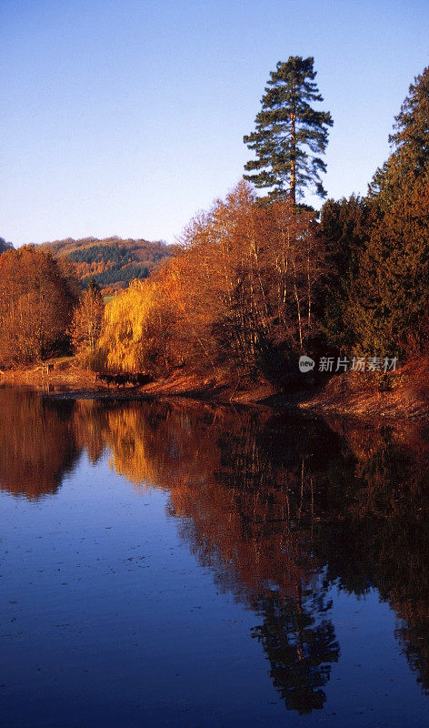 步道秋湖水河风景秋景金景拍摄