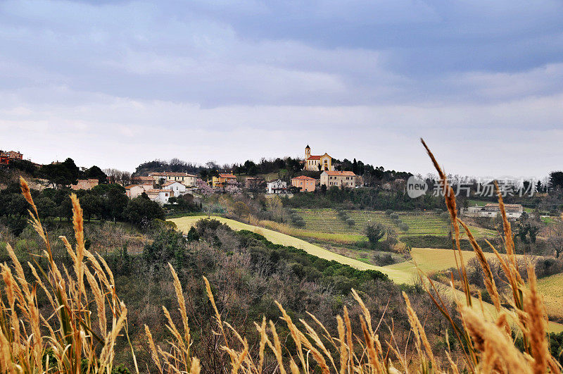 风景与村庄在马奇，意大利