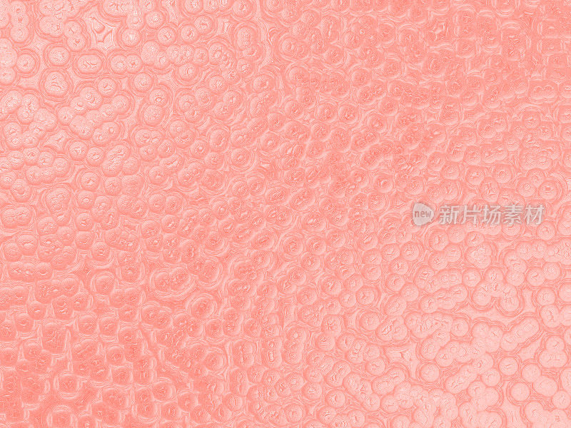 粉色活珊瑚千禧粉珍珠气泡图案2019年流行色可爱柔嫩质地桃色渐变背景