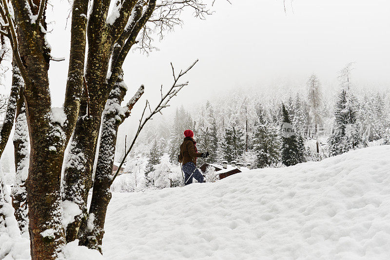 宁静的风景，雪女人在雪中行走