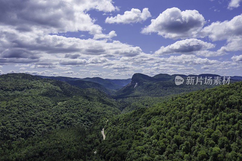 夏季北方自然森林鸟瞰图