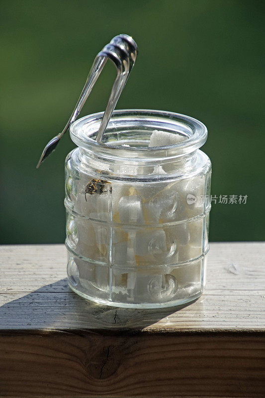 糖碗——黄蜂的诱饵。白糖和透明玻璃。仍然生活。温暖的夏天。农村生活。垂直的照片。视图